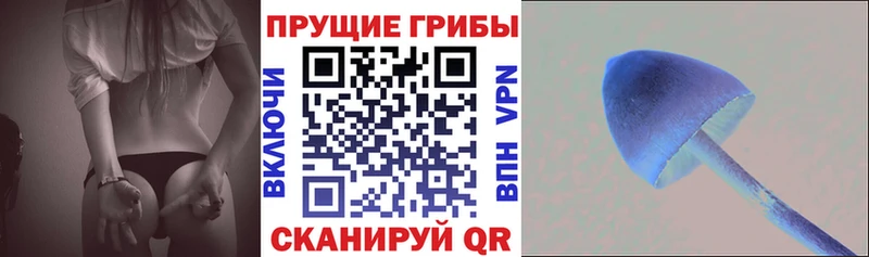 Галлюциногенные грибы мицелий  Алатырь 