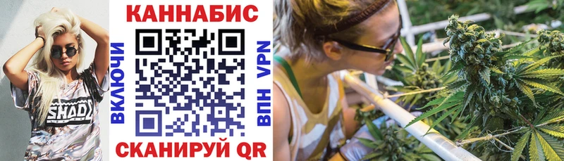 дарнет шоп  Алатырь  Бошки Шишки сатива 